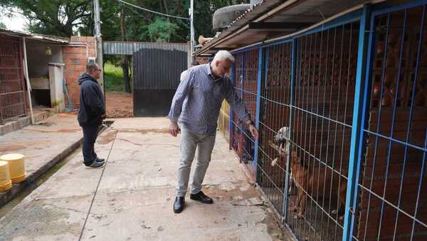 Mascotas y explosivos: Guía de emergencia y sanciones