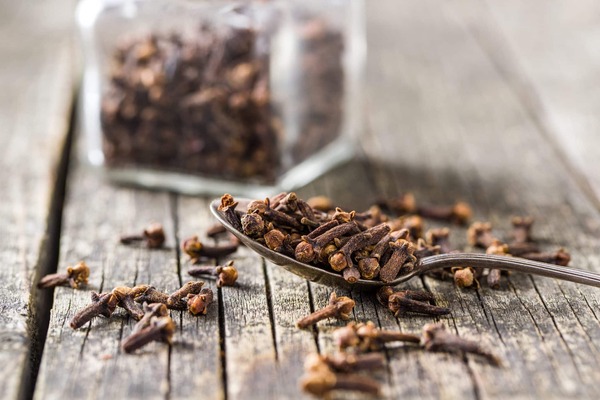 Clavo de olor: Beneficios médicos del Syzygium aromaticum