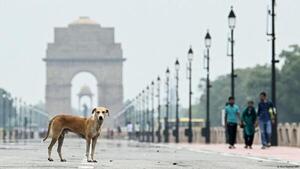 India afirma haber superado a Japón como cuarta economía mundial