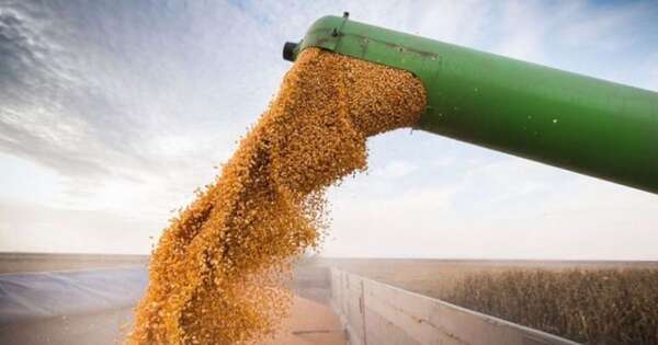 La Nación / Complejo sojero inyectó casi USD 3.500 millones hasta noviembre de 2025