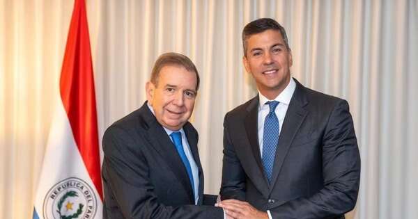 La Nación / Gobierno paraguayo aboga por una transición democrática y ordenada