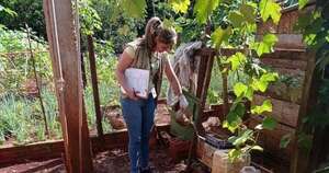 La Nación / Aumentaron las notificaciones de dengue en 7 regiones sanitarias