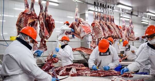 La Nación / Sector cárnico: récord histórico en ingresos por exportaciones
