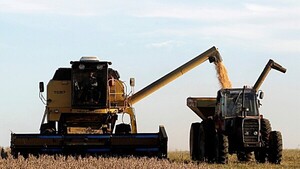 Acuerdo con UE: Energía y sector forestal serán clave, según analista