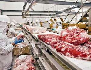 Paraguay amplió sus fronteras productivas y comerciales en 2025 - Negocios - ABC Color