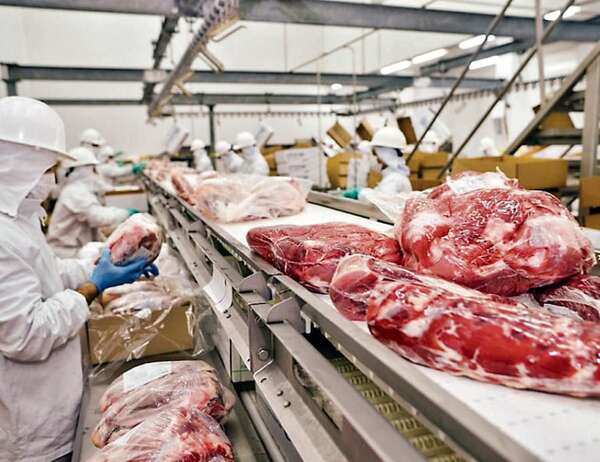 Paraguay amplió sus fronteras productivas y comerciales en 2025 - Negocios - ABC Color