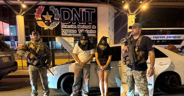 La Nación / Puente de la Amistad: incautan más de 133 kilos de marihuana con destino a Brasil