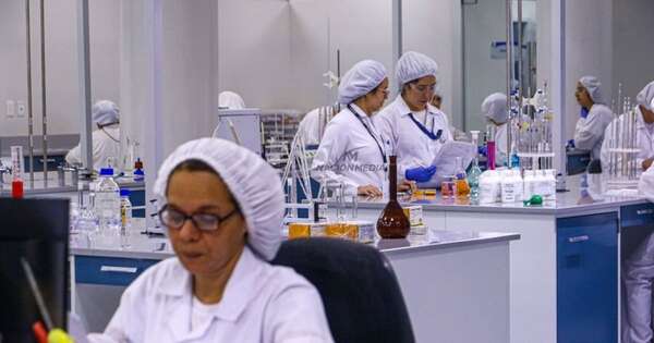 La Nación / Industria farmacéutica creció 10 % y refuerza su peso en la economía nacional