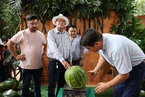 Itapúa: La sandía se consolida como rubro clave de renta