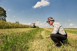 Agro en Paraguay: Unidad gremial impulsa el desarrollo