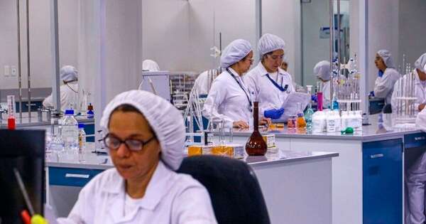 La Nación / Sector farmacéutico crece 10 % y refuerza su peso en la economía