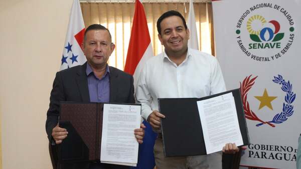 Fiscalía pide juicio para Pastor Soria por coimas en Senave