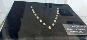 Cómo los collares de conchas de hace 150.000 años conectaban a tribus lejanas - Ciencia - ABC Color