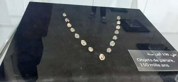 Cómo los collares de conchas de hace 150.000 años conectaban a tribus lejanas - Ciencia - ABC Color