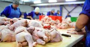 La Nación / Ingreso de carne aviar paraguaya a Taiwán podría anunciarse en abril