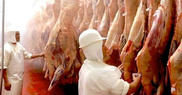 La Nación / Buscarán estabilizar precios de la carne y hacerlos más accesibles, señala la CPC