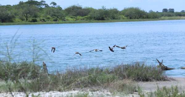Diario HOY | Impulsan campaña para el cuidado de espacios naturales
