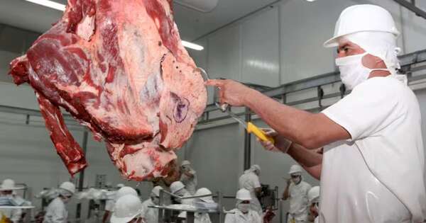 La Nación / Carne: Gobierno impulsa acciones para lograr mejores precios