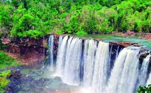 MADES impulsa campaña para el cuidado de espacios naturales