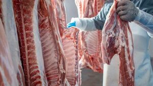 Histórico desempeño de la carne vacuna: Paraguay bate récords en valor de exportación en 2025