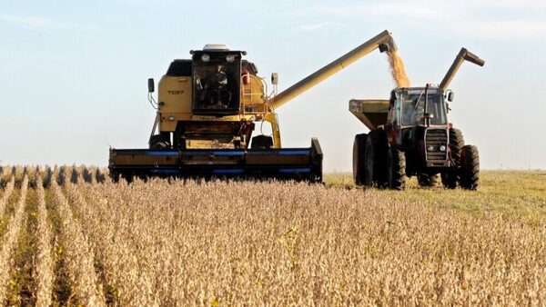 Productores de Itapúa esperan superar los 3.000 kilos de soja por hectárea para mejorar la rentabilidad