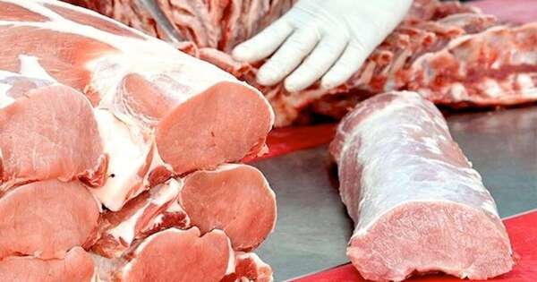 La Nación / Sector porcino: envíos superaron los USD 55 millones a diciembre