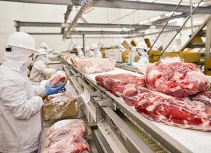 Gobierno y frigoríficos acordaron medidas para contener el precio de la carne