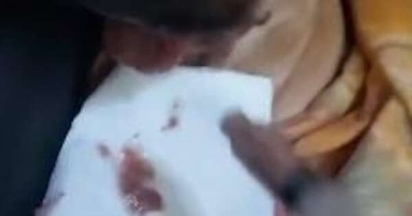 La Nación / Canela perdió la mandíbula y la capacidad de comer y tomar agua