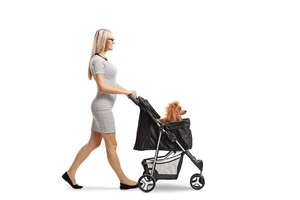 ¡Chau pañales, hola ladridos! ¿Por qué los milénials prefieren perros en vez de bebés? - Mascotas - ABC Color