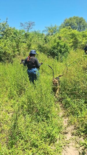 Popular / Gran contingente policial buscan al niño Alexander