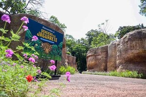 Más de 23.000 personas visitaron el Sendero del Jaguareté de Tekotopa Centro Ambiental desde su apertura | DIARIO PRIMERA PLANA