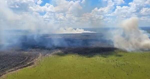 La Nación / Incendio en el Chaco: solicitaron ayuda aérea para detectar donde se originaron las llamas