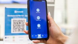 ¿Cómo son los roles en el sistema de pagos tras la regulación del BCP?