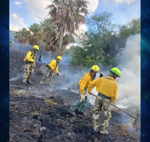 Despliegan operativo militar y forestal para combatir incendio en Chaco’i - ADN Digital