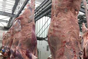 El último mes de 2025 cerró con casi dos tercios de la carne exportada en categorías de alta calidad