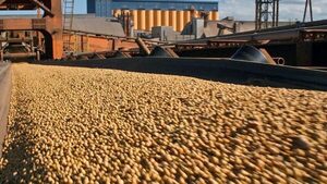 Una política moderna de industrialización es clave para la agroindustria paraguaya, sostiene la Cappro