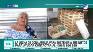 Entre el cansancio y la esperanza: la historia de doña Amelia, que duerme en su puesto de frutas