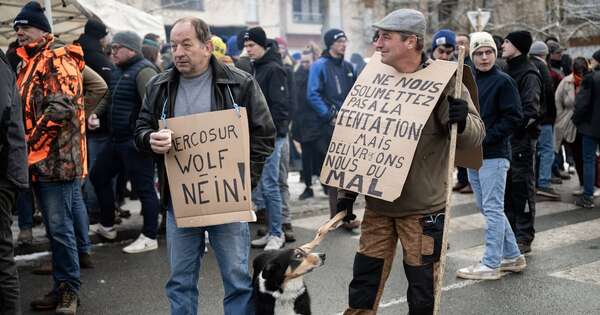 La Nación / La UE ofrece fondos adicionales a agricultores ante acuerdo con Mercosur