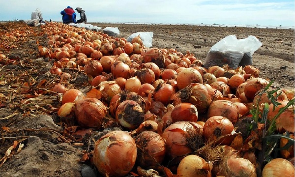 Más de 187 millones de personas sufren inseguridad alimentaria en América Latina y el Caribe - OviedoPress