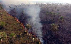 Temporada de incendios: en Chaco’i ya afectó 330 hectáreas - Portal Digital Cáritas Universidad Católica