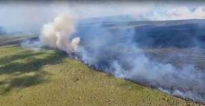 Incendio arrasó con 600 hectáreas en el Bajo Chaco: “99 % que fue provocado” - Noticias del Chaco - ABC Color