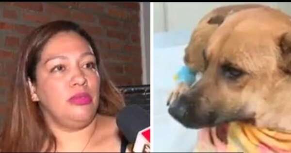 La Nación / La familia de la perrita Canela dice que no hubo intención de dañarla