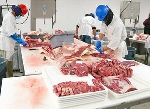 Industria cárnica evalúa importar desde Brasil para contener precios - Concepción al Día