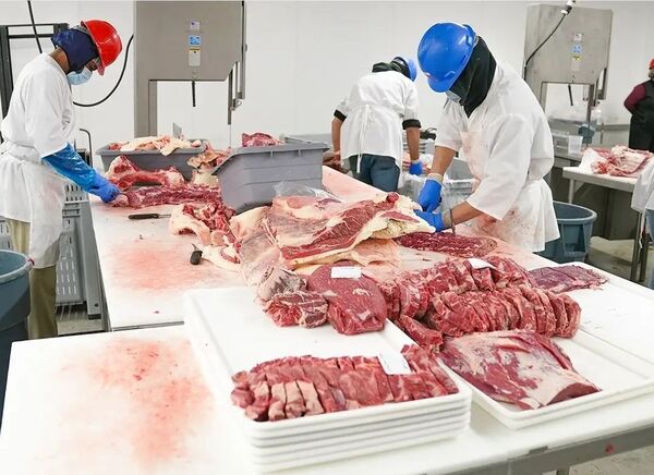 Industria cárnica evalúa importar desde Brasil para contener precios - Concepción al Día