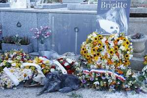 Brigitte Bardot reposa junto a sus padres y abuelos en cementerio frente al Mediterráneo - Mundo - ABC Color