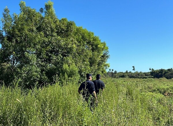 Desaparición de menor con TEA mantiene en alerta a Pilar