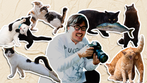 Fotógrafo japonés captura la esencia libre de los gatos y triunfa en redes sociales