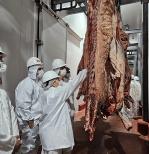 Paraguay analiza importar carne de Brasil por altos precios