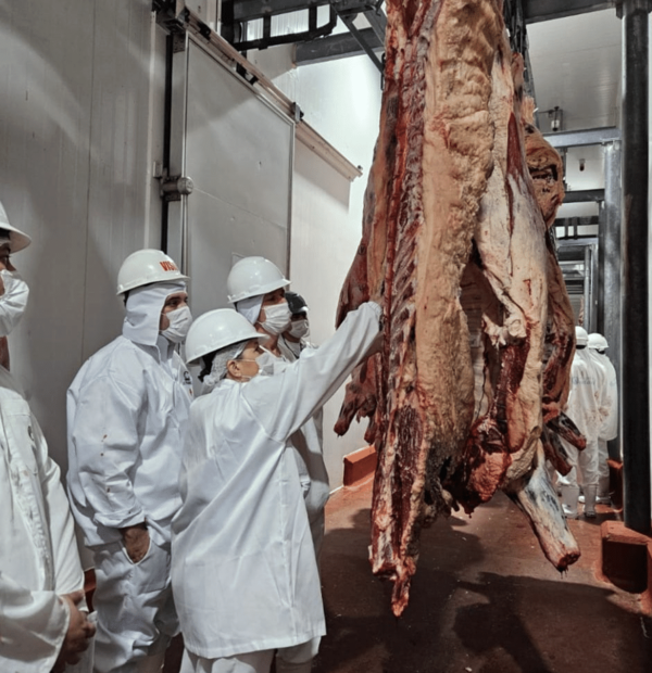 Paraguay analiza importar carne de Brasil por altos precios