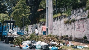 Alta infestación larvaria: Capital y Central están en zona de riesgo